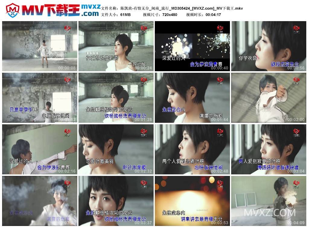 陈凯欣-有情无分_闽南_流行_MD305424